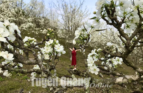 Vẻ đẹp mê mẩn của Vườn Hoa Lê Hồng Thái