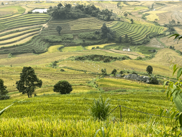 ターレン黄金渓谷の一角。