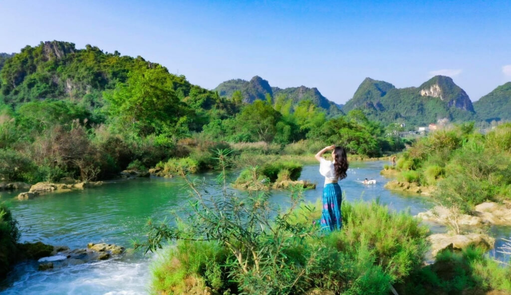 崖を抱きしめるのは緑豊かな植物です