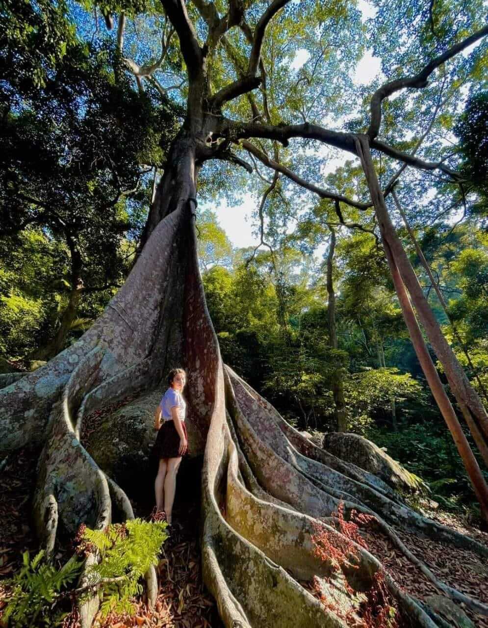 Nhat Lam Thuy Trang 차