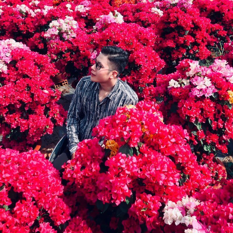 Làng hoa giấy Phú Sơn