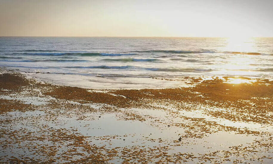 ニントゥアンのホンドーで野生的で雄大な自然を探索