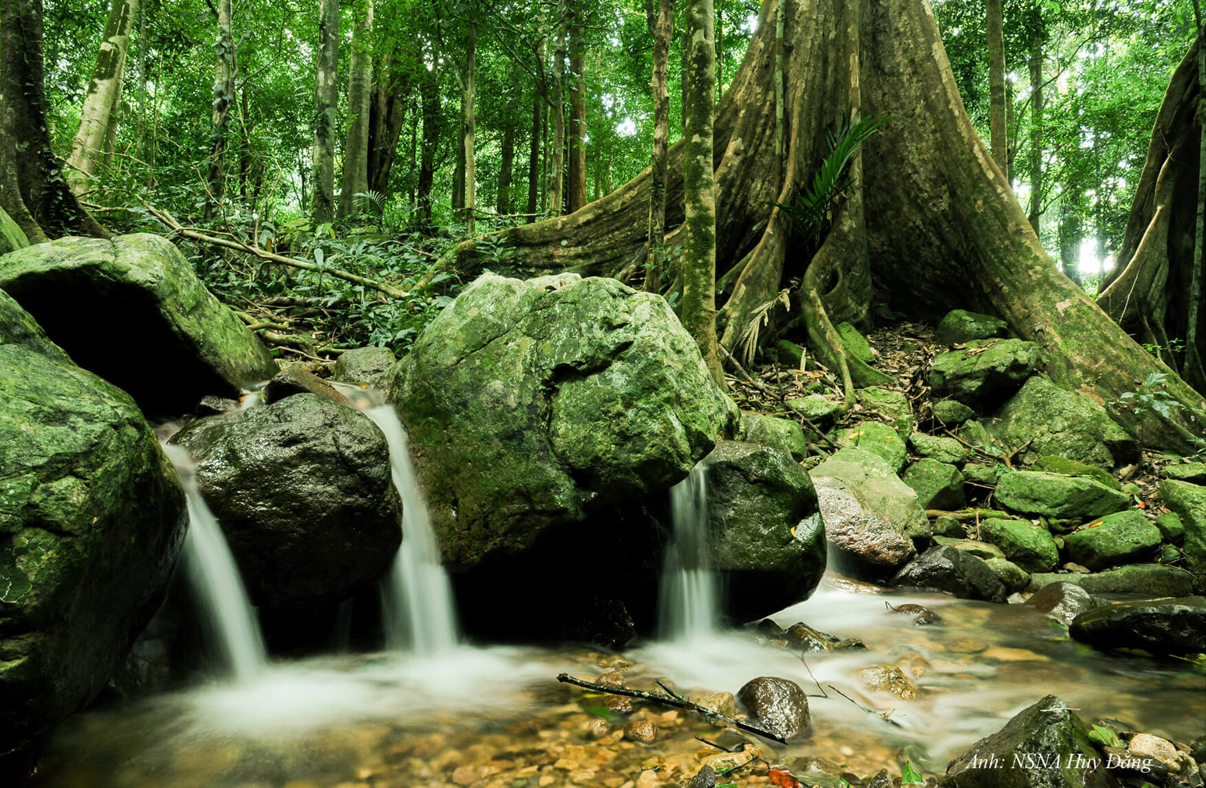 추맘레이 국립공원