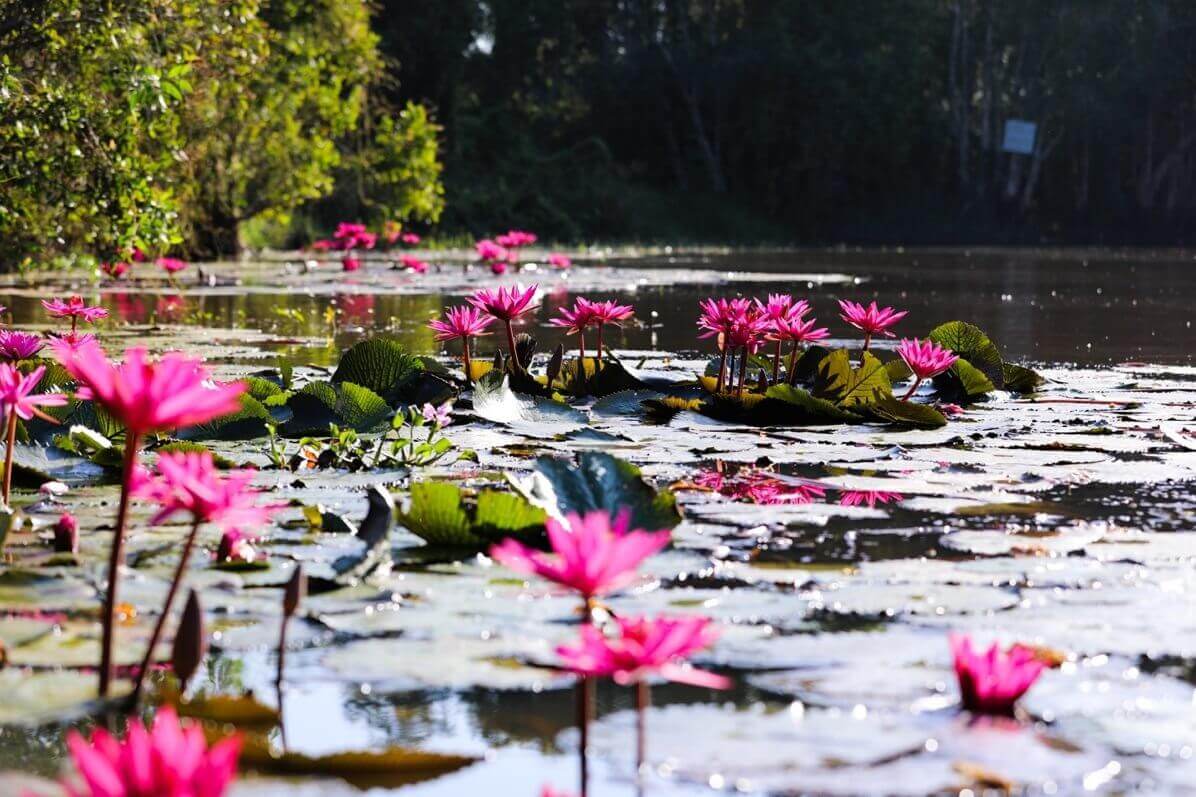 Khu du lịch Cánh đồng bất tận