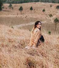 草が燃える季節に鳳凰峰の詩的な美しさを発見