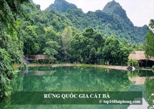Rừng quốc gia Cát Bà - top 10 địa điểm đẹp mê mẩn ở Hải Phòng