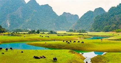 ドンラム草原：ラン国の中心部にある「ミニモンゴル」