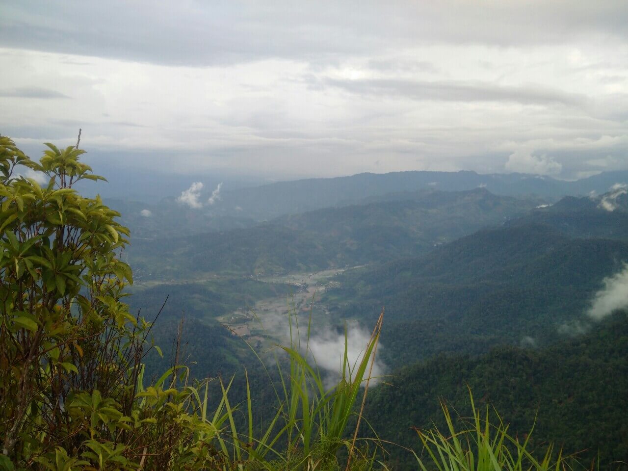 Khu bảo tồn thiên nhiên Nà Hẩu nổi tiếng với hệ sinh thái vô cùng phong phú