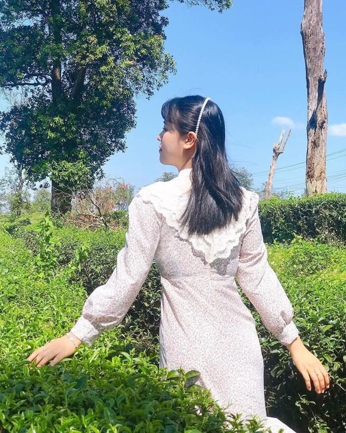 Đồi Chè Gia Nghĩa