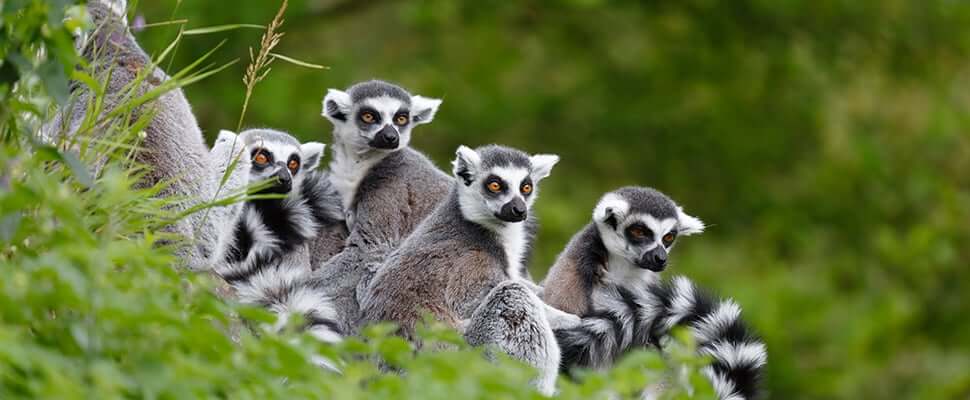 푸꾸옥 국립공원