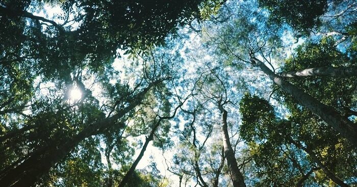 1月から6月はコン・チュー・ランを訪れ、体験するのに非常に適しています。