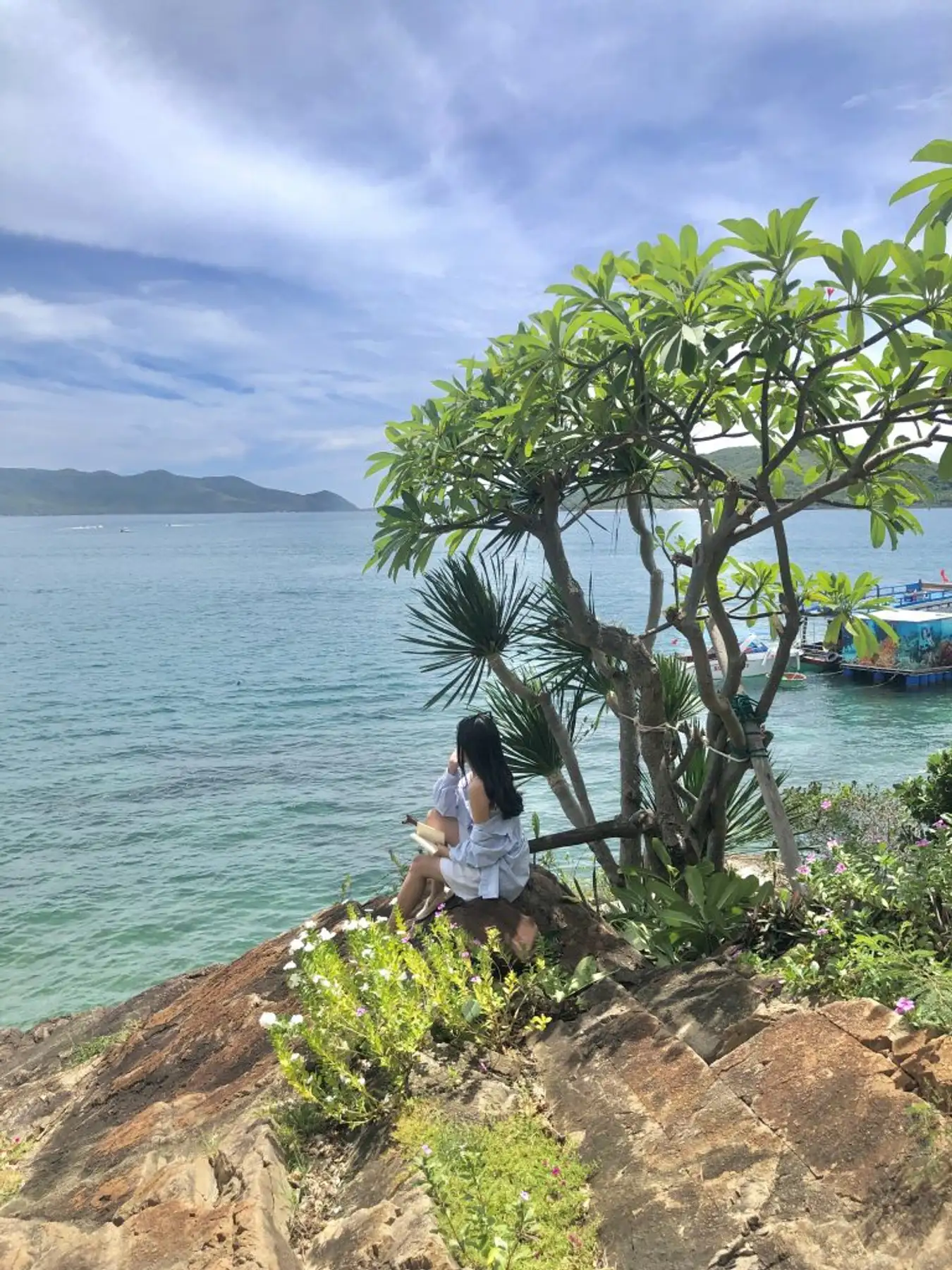 3 디럭스 아일랜드