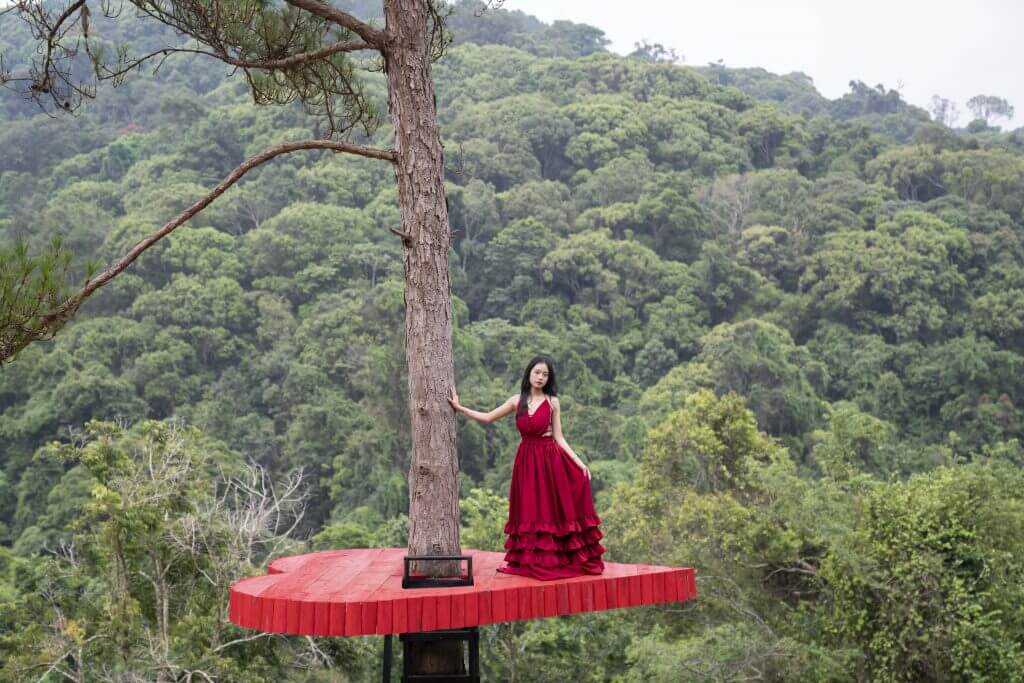 호아 손 디엔 트랑