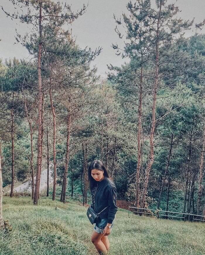 Đồi thông Thiên Sơn Thịnh An Gia