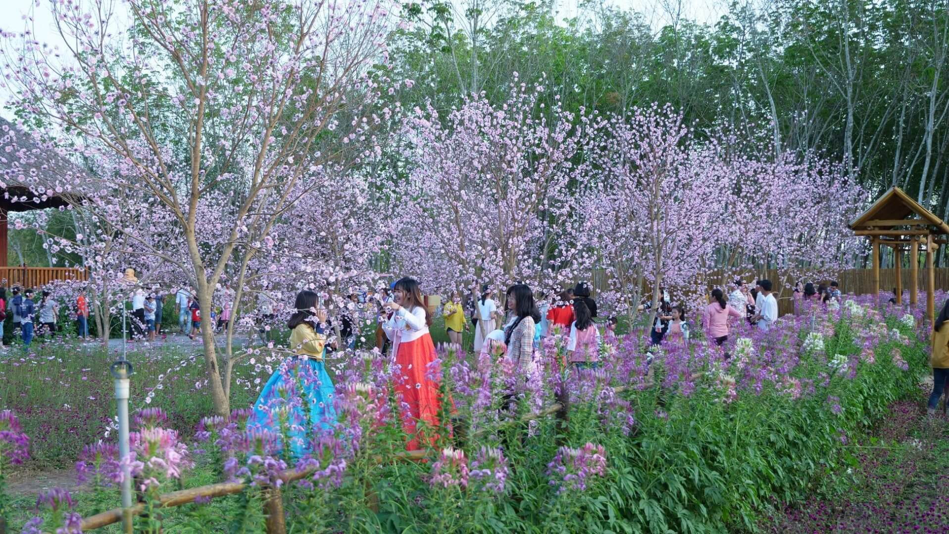 最近新興のチェックイン場所ですが、トゥイホアビエンは若者を中心に多くの愛を受けています。