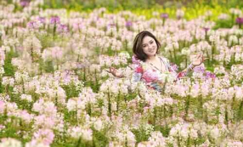 Me Linh Flower Village - a famous check-in place for young people