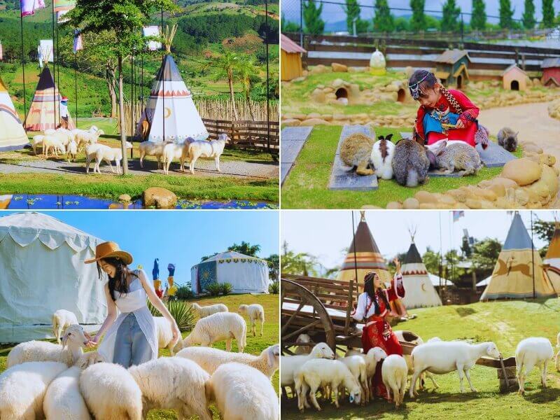 Tour Khám Phá Địa Điểm Mới 2024 Tại Đà Lạt