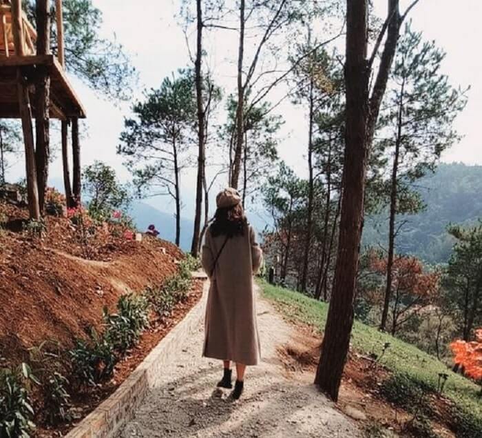 Đồi thông Thiên Sơn Thịnh An Gia