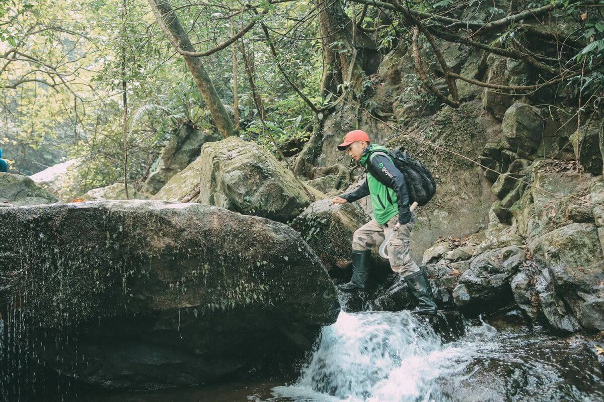 Vườn quốc gia Tam Đảo