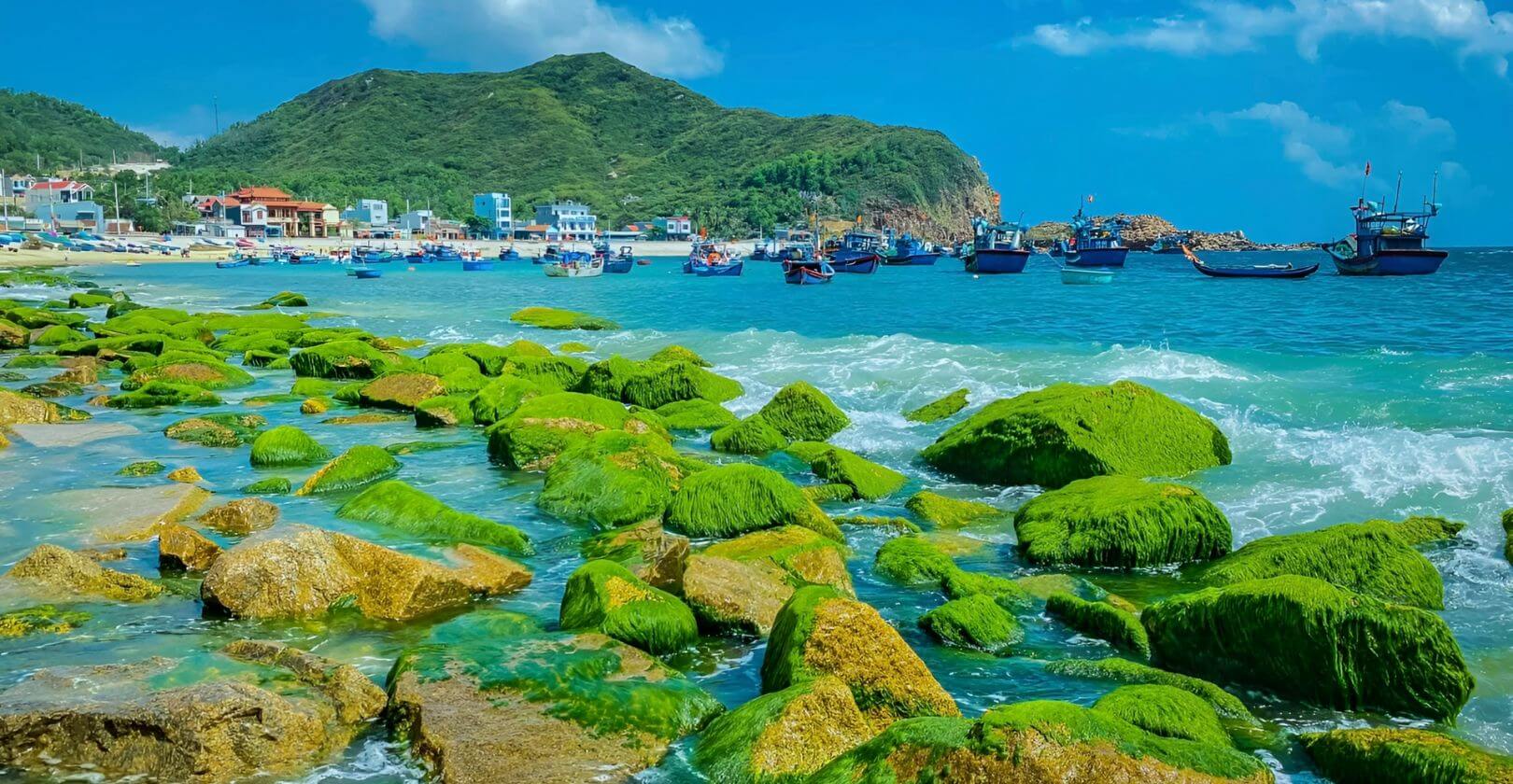 Bãi rêu Nhơn Hải