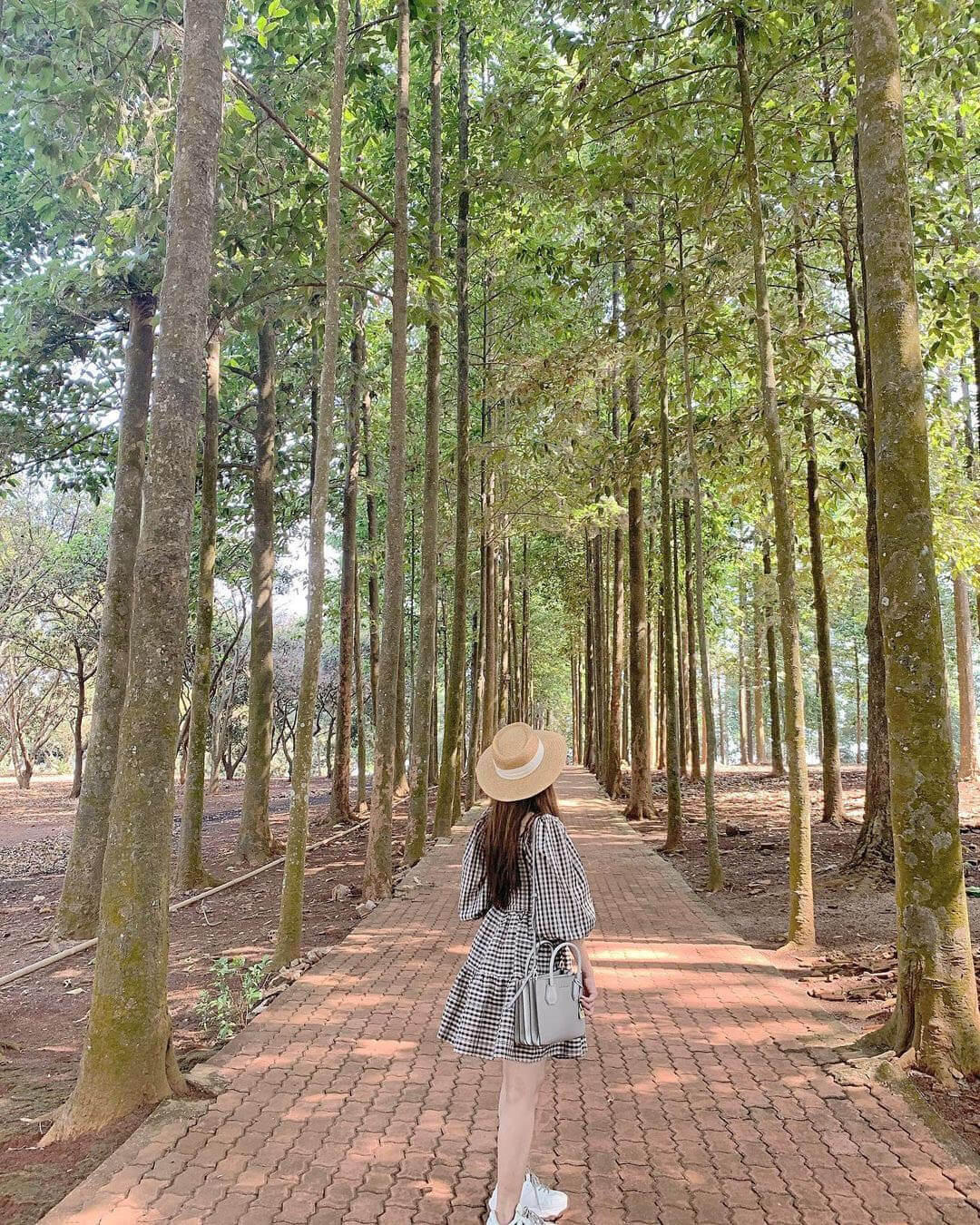 イーグル島観光エリアは、サイゴン近郊のまさに理想的な観光エリアで、週末の小旅行に最適です。