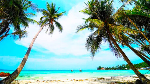 Hon Tre의 아름다움을 발견하십시오