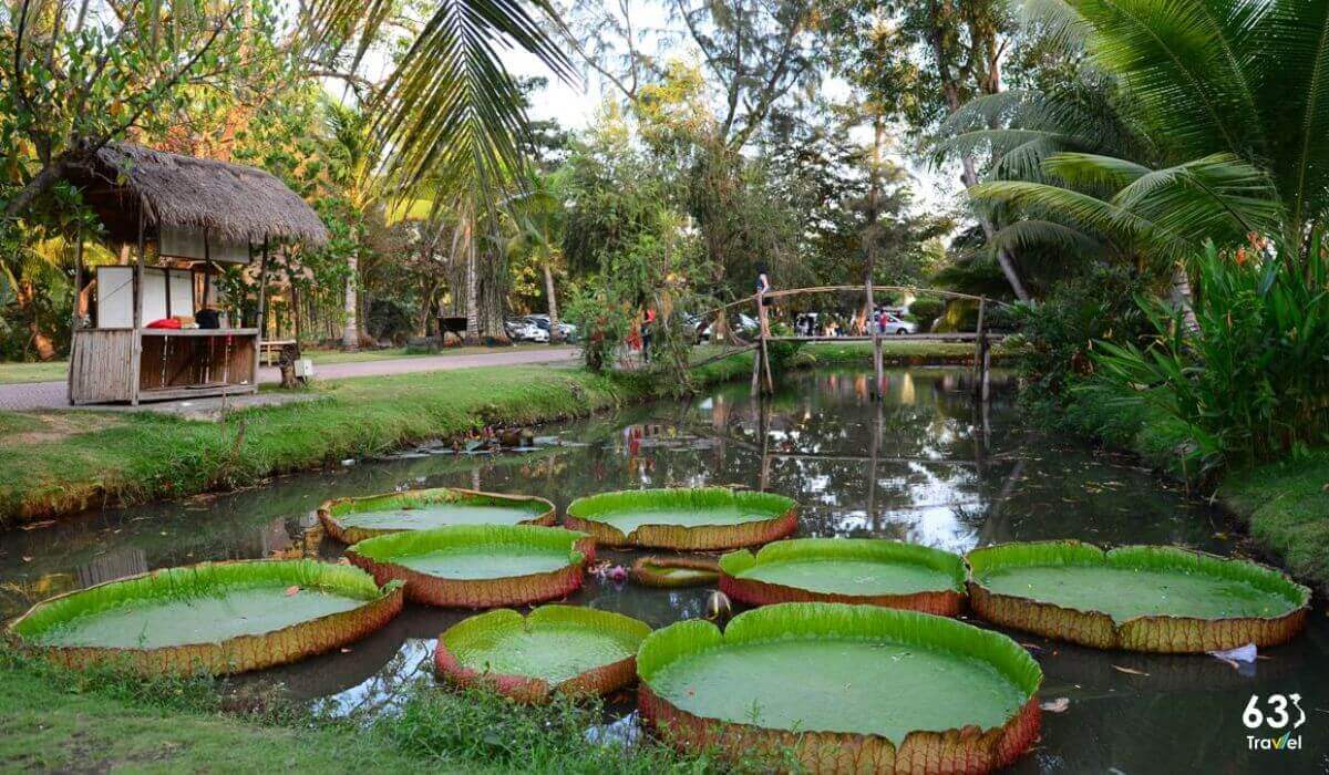 Check in KDL Sinh thái Mỹ Lệ,chốn dừng chân rời xa khói bụi thị thành