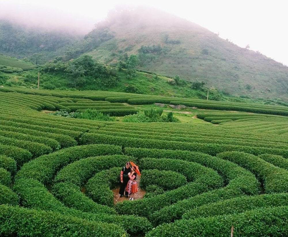 Địa điểm check in của nhiều du khách khi du lịch Mộc Châu