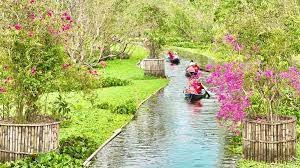 Rừng Tràm Trà Sư