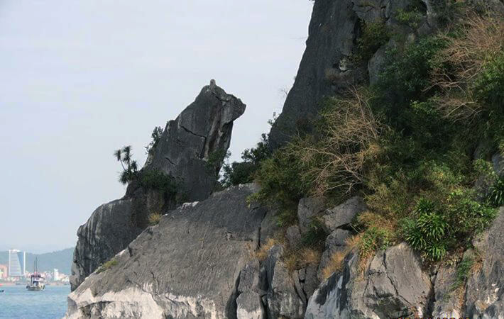 Hòn Chó Đá – Câu Chuyện Kỳ Thú Và Những Điều Ít Ai Biết