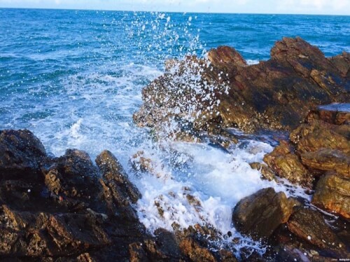 「秘密の無人島」には面白いものがいっぱい ホン・ハイ・ボ・ダップ、キエン・ザン