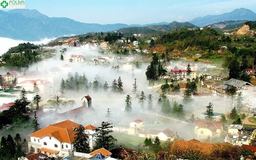 タムダオ国立公園 - 休日に見逃せない目的地