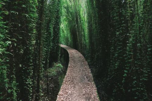 タン ラップ エンシェント ビレッジの有名な通り