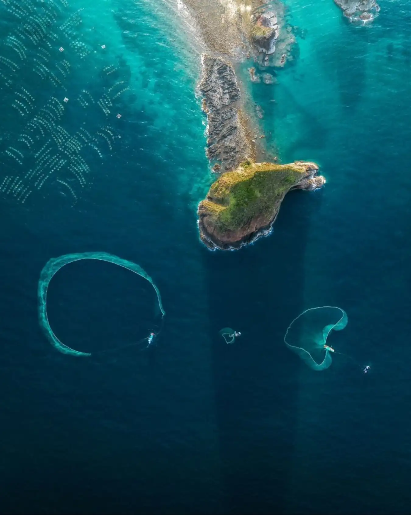 Hòn Yến từ trên cao tựa như chú cá heo đang bơi.