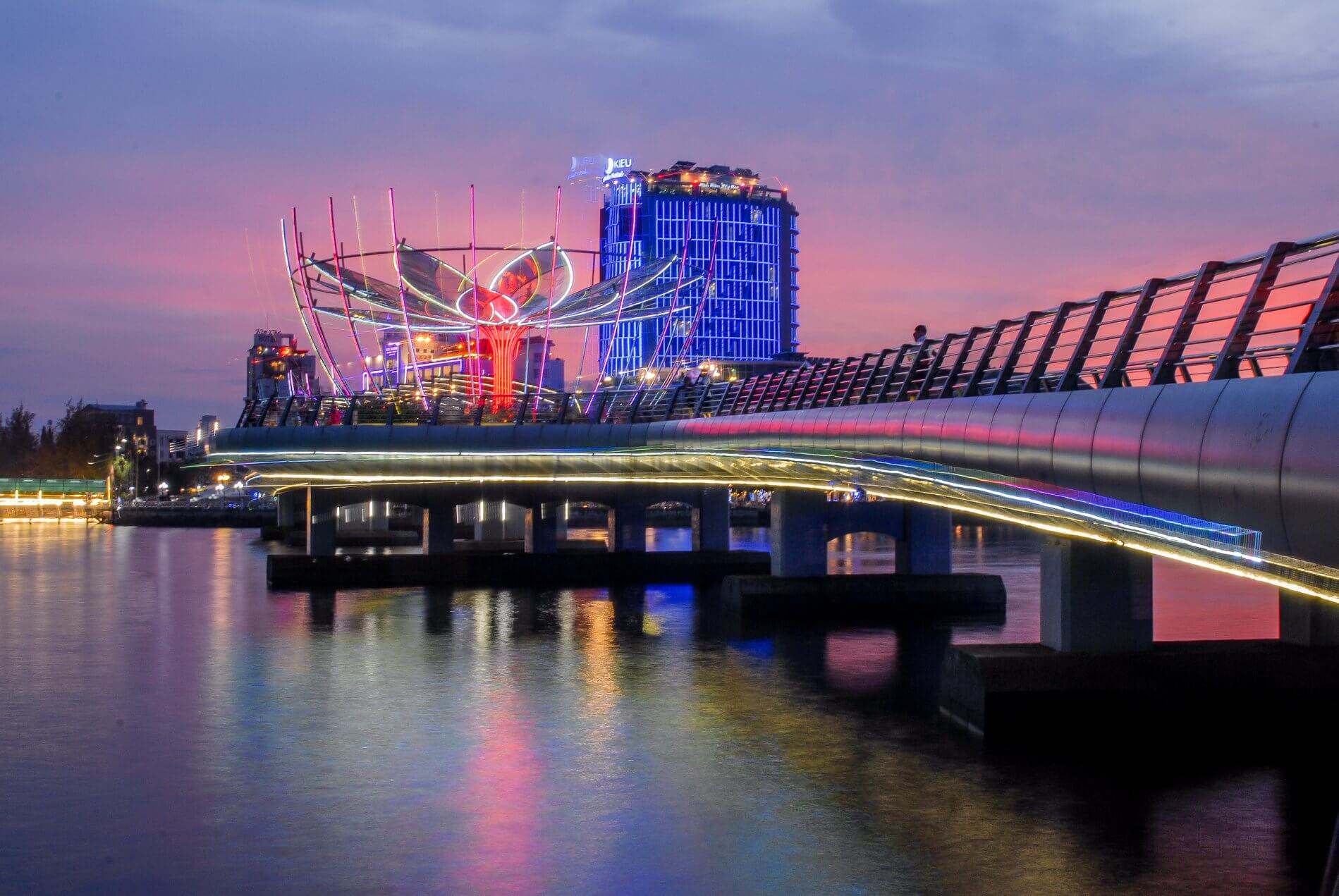 蓮の花のクローズアップ