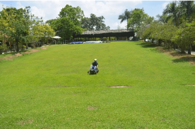 ドンモのグラススケート