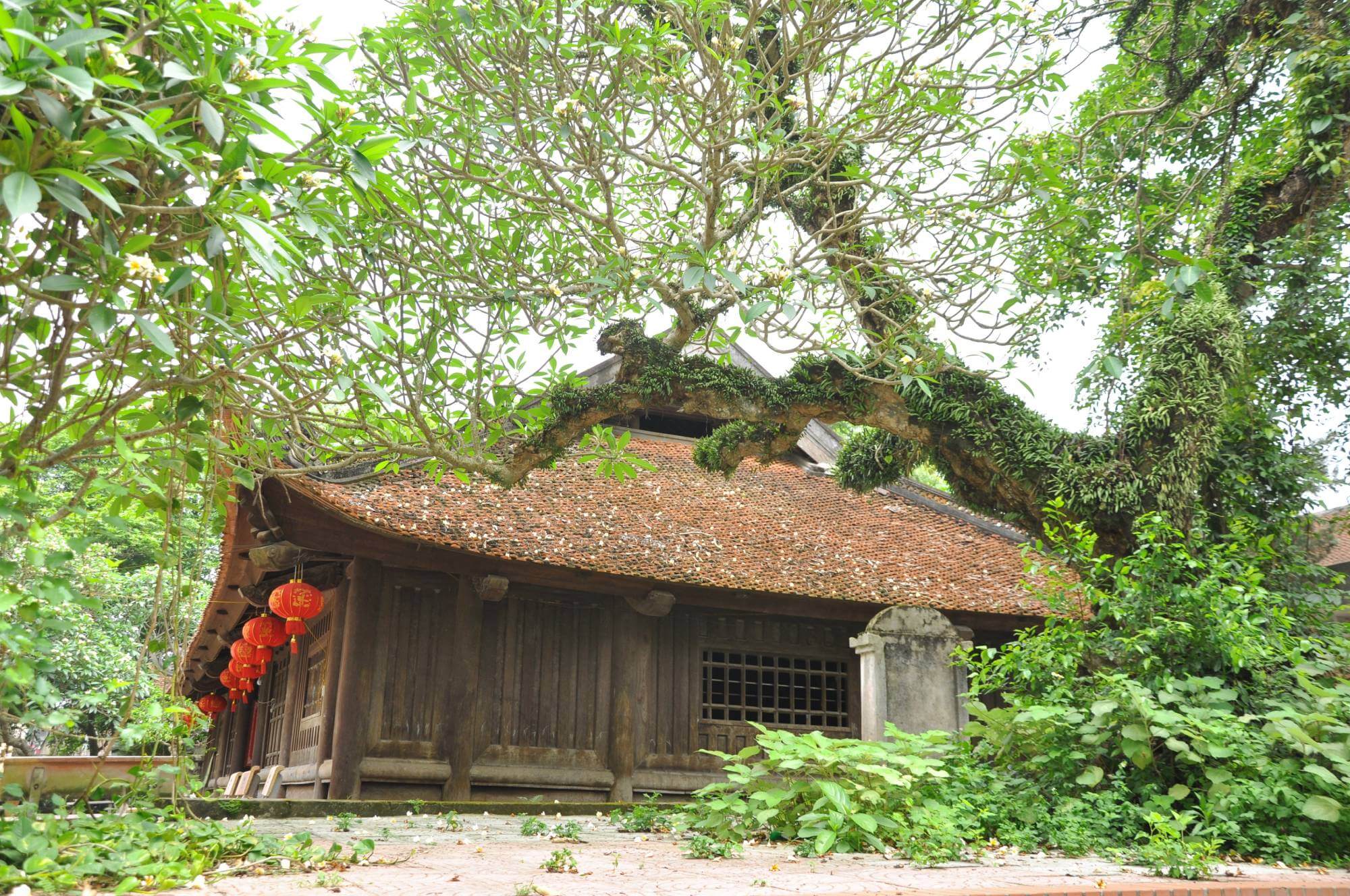 ATK2 ホアンヴァンエリア