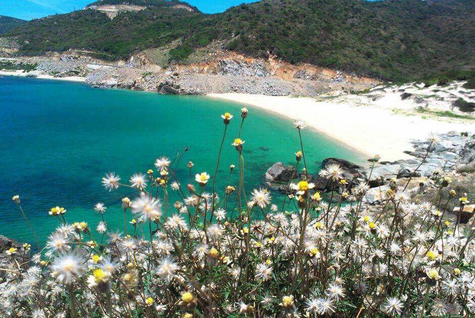 Vườn quốc gia Núi Chúa