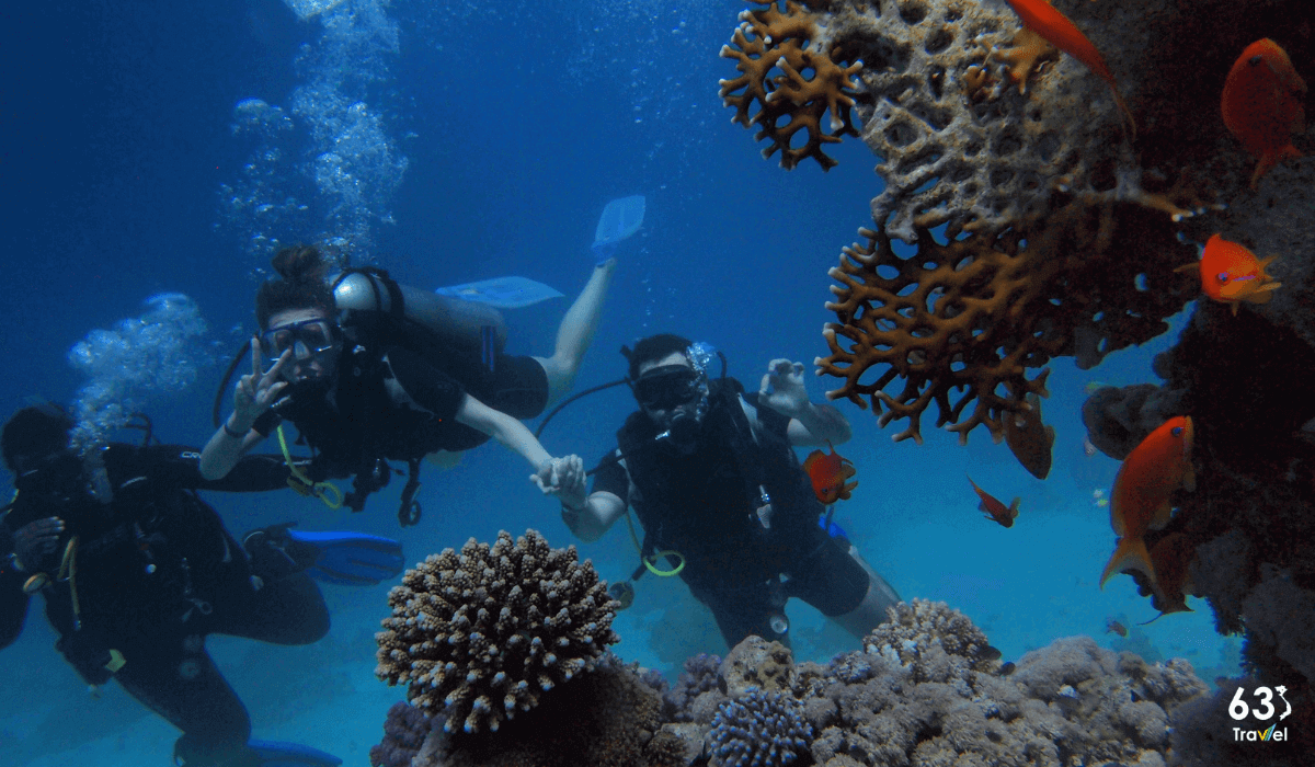 Thích thú lặn biển ngắm san hô,cho cá ăn khi du lịch Cô Tô