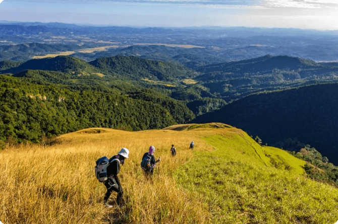 Phia Pò mùa cỏ cháy đẹp như một bức tranh.