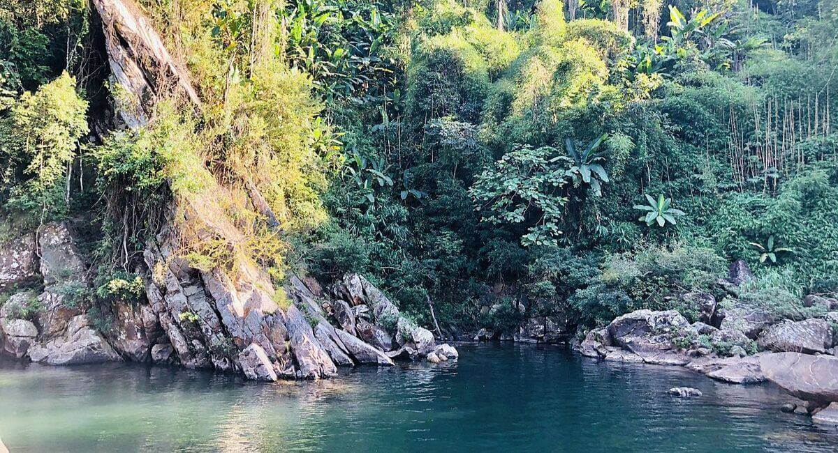 ムオンテ自然保護区の多様で豊かな生態系。