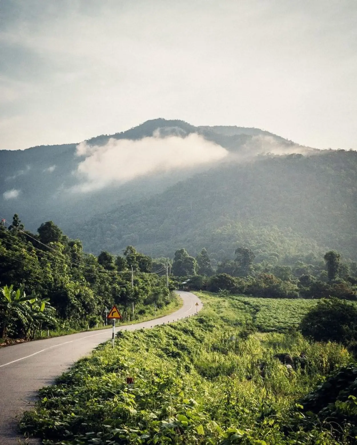 "평화"라는 이름의 도로는 푸옥빈 국립공원으로 이어집니다