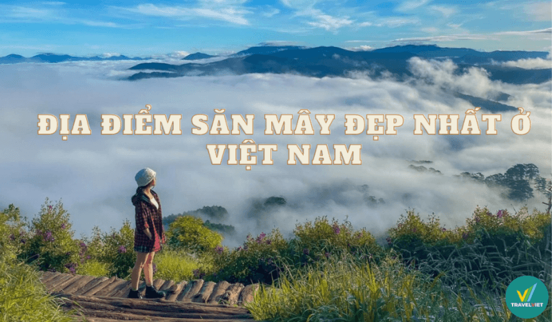 今日のベトナムで最も美しい籐狩猟場所 9 か所をご紹介します