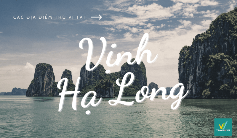 ヴィンロンの見逃せない 8 か所以上の美しい観光地を紹介