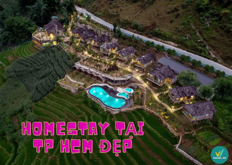 ゲストが自由に「バーチャル生活」できるホーチミン市の美しいホームステイ 10 選