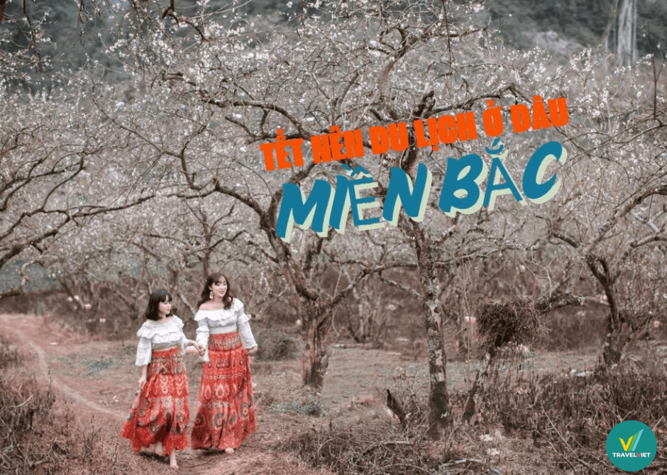 テトのために北部のどこを旅行すべきですか?非常にホットなトップの観光地