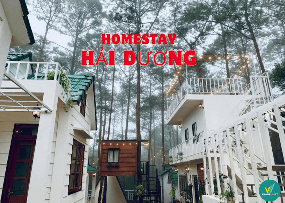 美しい景色と手頃な価格を備えたハイズオンのホームステイ トップ 8 - 今すぐ節約!