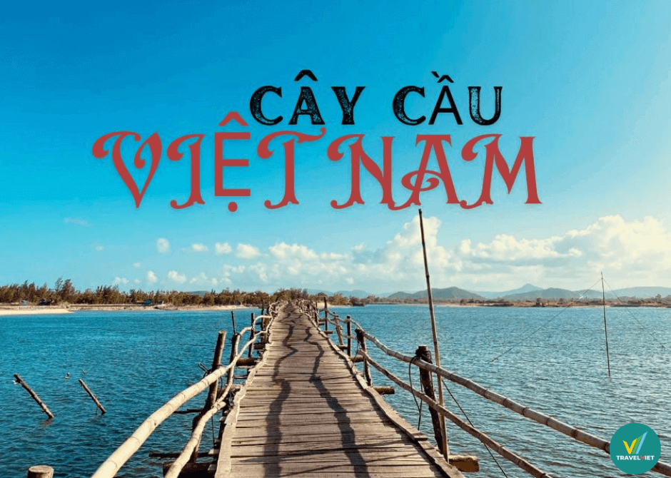 ベトナムで最も美しい 11 の木造橋を鑑賞するには必見です