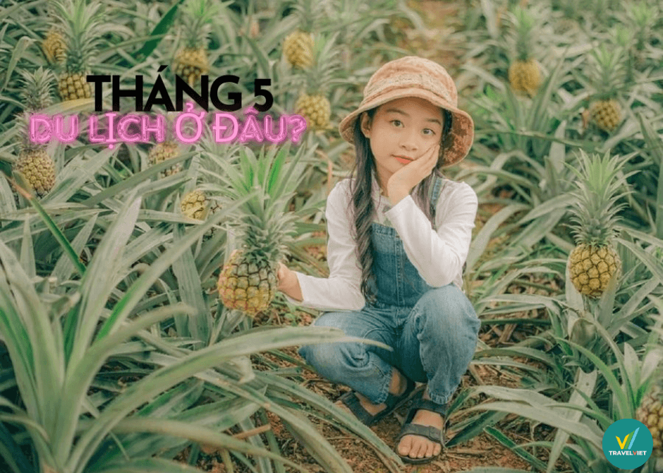 ベトナムに旅行する場所が最も美しくて面白いですか？