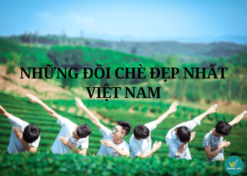 観光客向けのベトナムで最も美しいティーヒルトップ11